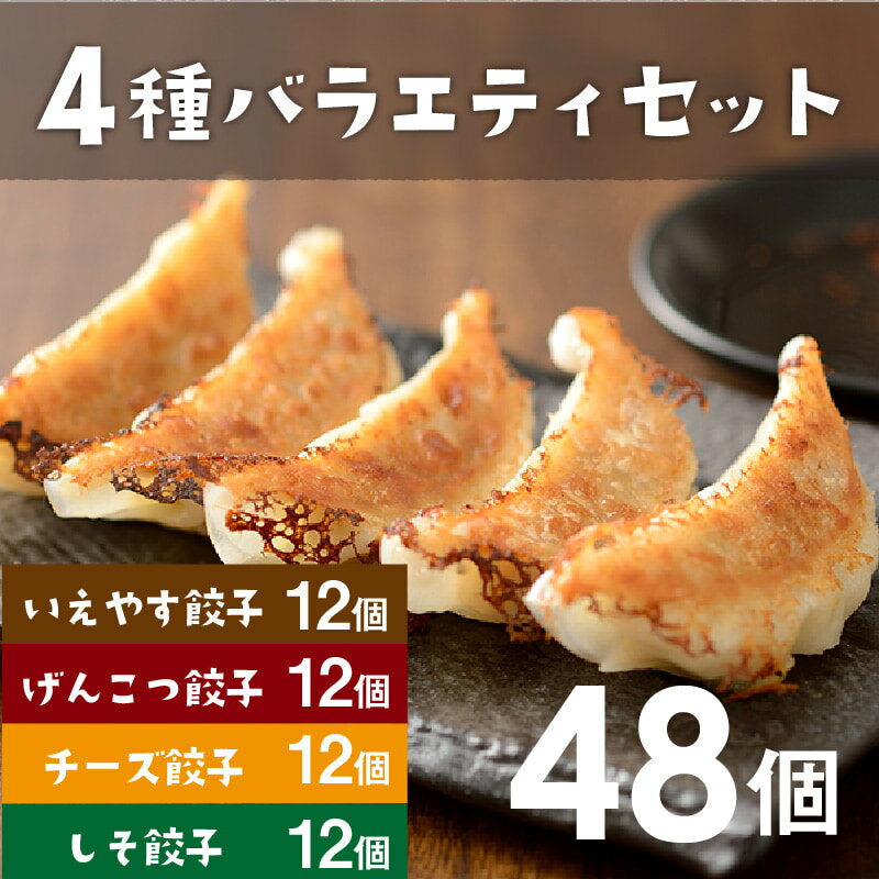 人気浜松餃子店の4種を一度に楽しめる贅沢餃子セット 餃子 冷凍　【行列店の浜松餃子】 餃子 冷凍 いえやす餃子4種を一度に楽しめる4種バラエティーセット 【48個】 浜松ぎょうざ