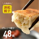 人気店の浜松餃子! パンチのある肉感!げんこつ餃子 48個 ご家庭用 浜松ぎょうざ