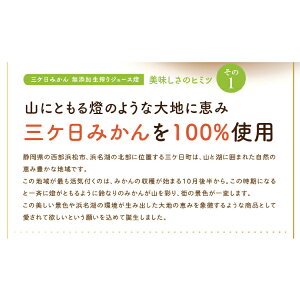 三ヶ日みかんジュース