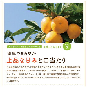 三ヶ日みかんジュース