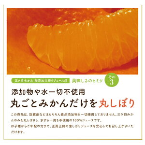 三ヶ日みかんジュース