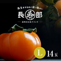 【遠州浜北大平産】 長寿郎次郎柿【秀品L・14玉】