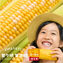 静岡県産とうもろこし 甘々娘甘太郎（かんかんむすめかんたろう） L〜3Lサイズ 4〜6本【ご贈答用】期間数量限定【送料無料】バーベキュー