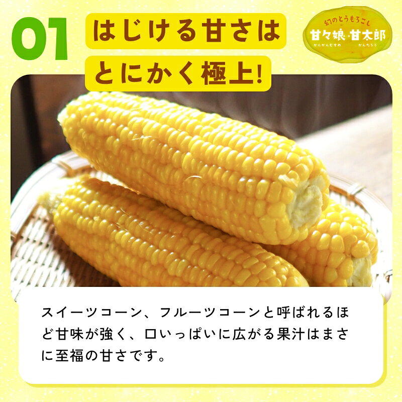 静岡県産とうもろこし 甘々娘甘太郎（かんかんむすめかんたろう）L〜3Lサイズ7〜9...