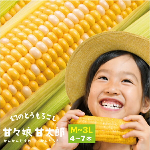 Rakuten - 【エントリーでポイント10倍★】静岡県産とうもろこし 甘々娘甘太郎 （かんかんむすめかんたろう） M〜3Lサイズ4〜7本入り【ご家庭用】　期間数量限定 バーベキュー