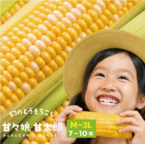 Rakuten - 【エントリーでポイント10倍★】 静岡県産とうもろこし 甘々娘甘太郎 （かんかんむすめかんたろう） M〜3Lサイズ7〜10本入り【ご家庭用】　期間数量限定 バーベキュー