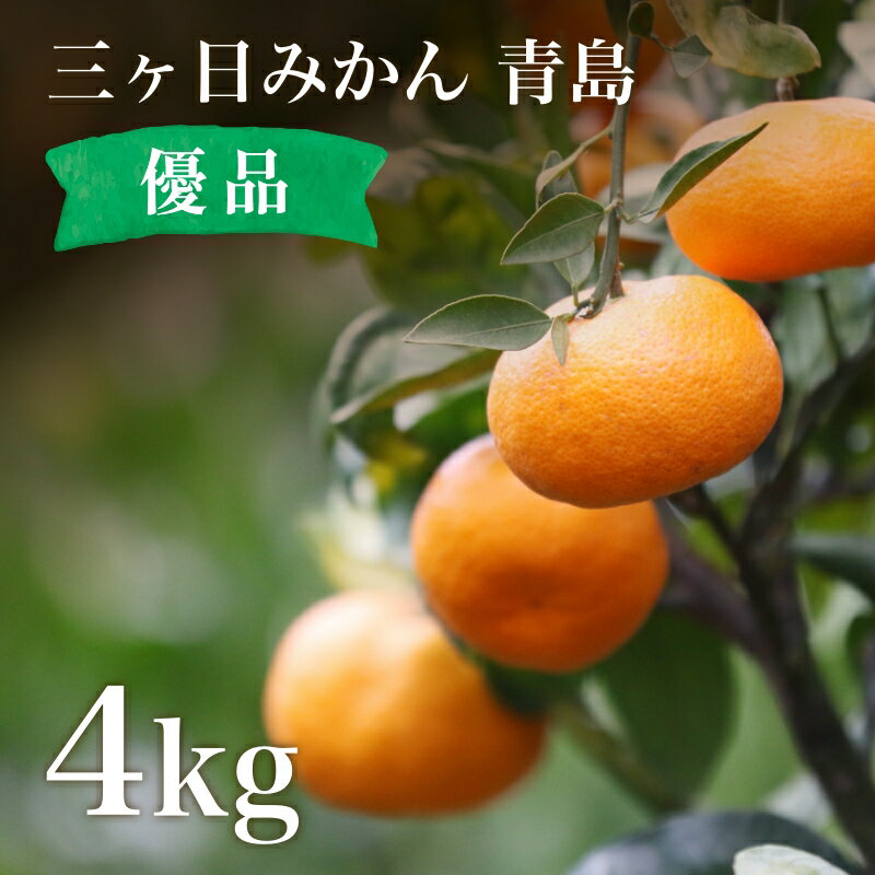 みかん 三ケ日濃厚熟みかん「青島」4kg(S～LLサイズ)（優品相当）【送料無料】青島みかん独特の貯蔵行程を経て熟成された食べ頃を産地直送でのサムネイル