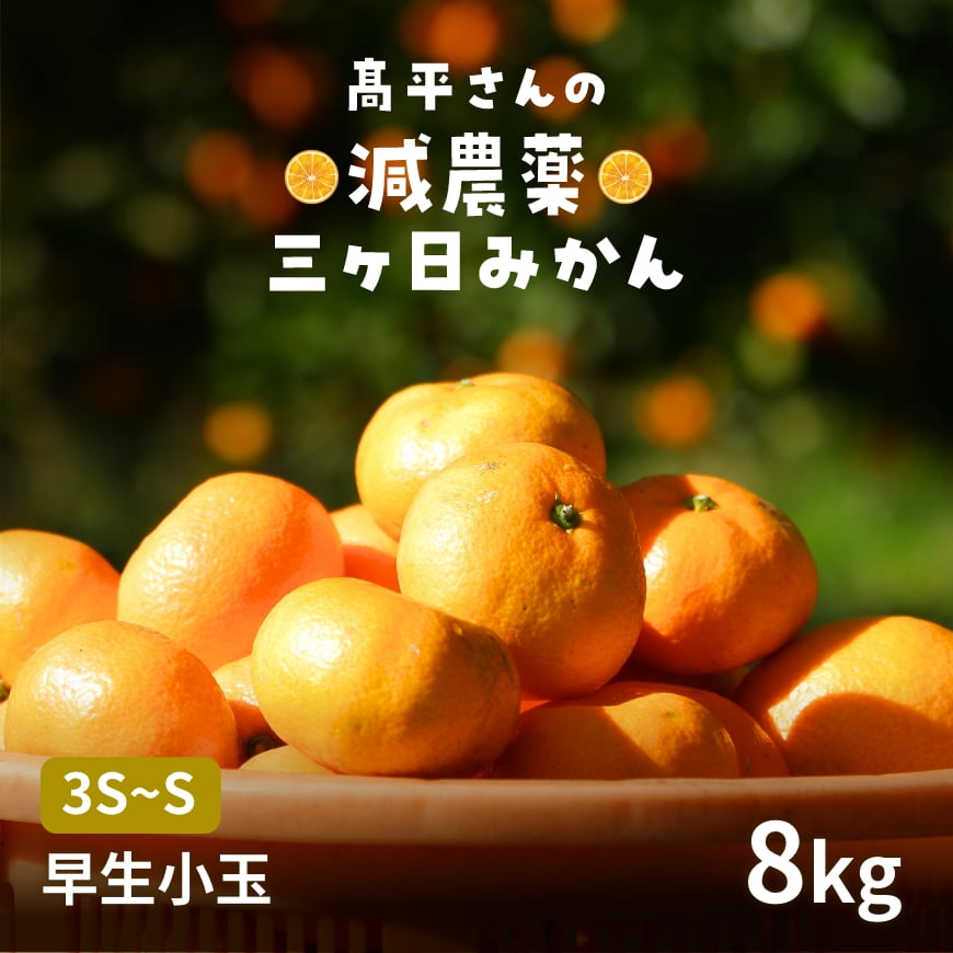 【早生小玉3S～S】 高平さんの減農薬 三ヶ日みかん 8kg(4)