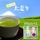 【贈答品】【静岡茶】 極上深蒸し茶大走り100g缶2個セット【農家直送】