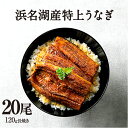母の日 父の日 うなぎ 蒲焼き ギフト 【贈答品】【浜名湖産】浜名湖 20尾セット お中元 土用の丑の日 敬老の日 ギフト お歳暮 贈答にも 国産ウナギ (ウナ...
