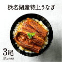 母の日 父の日 うなぎ 蒲焼き 【贈答品】【浜名湖産】 鰻 浜名湖 3尾セット 国産 ウナギ お中元 丑の日 贈答 お歳暮 ギフト 【送料無料】