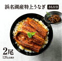 お中元 うなぎ ギフト 国産 【うなぎ 贈答品】 【浜名湖産】 うなぎ 鰻 浜名湖 蒲焼き 2尾セット【きも焼き付】 父の日 母の日 贈答にも♪