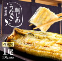 母の日 父の日 うなぎ 朝じめうなぎ 白焼き 1尾 (1尾約150g×1） 国産うなぎ 長白焼き 発送当日の朝に活鰻をさばいてお届け！ 食品 食べ物 贈答 お中元 お歳暮 敬老の日