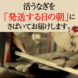 朝さばく