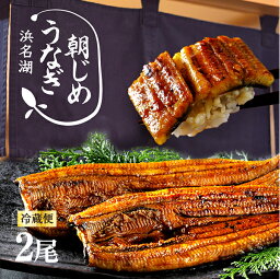 蒲焼き 母の日 父の日 ギフト うなぎ 朝じめうなぎ 蒲焼き 2尾 (1尾約150g×2） にも【冷蔵便】 国産うなぎ 長蒲焼き 発送当日の朝に活鰻をさばいてお届け！ 食品 食べ物 お中元 父の日 お歳暮 敬老の日