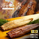 お中元 うなぎ 浜名湖産 朝じめ溶岩焼きうなぎ 蒲焼き1尾 白焼き1尾 コンビセット 【冷蔵便】 プレゼント 父の日 母の日