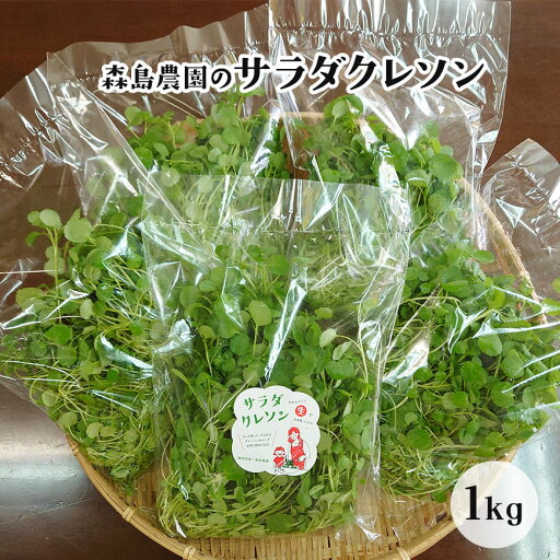 大容量でお買得♪ サラダクレソン 1kg(200g×5袋)セット サラダ 野菜 クレソン 大容量でお買得♪ サラダクレソン 1kg(200g×5袋)セット サラダ 野菜 クレソン