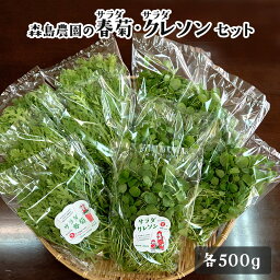 大容量でお買得♪ サラダクレソン＆サラダ春菊セット 【各500g】 サラダ 野菜 クレソン 春菊 詰め合わせ