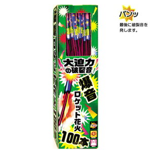 ☆あす楽対象☆爆音ロケット（100本入）【ロケット花火 上空で音 鳥獣 威嚇 害獣 対策 鳥追い 鳥よけ】