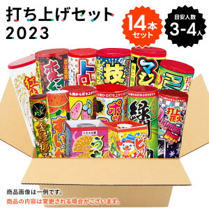 No.3 送料無料！打ち上げ花火セット2023（14本入）【花火セット オリジナル 安い 大容量 大人数 家族 ファミリー 友達 BBQ キャンプ 海】