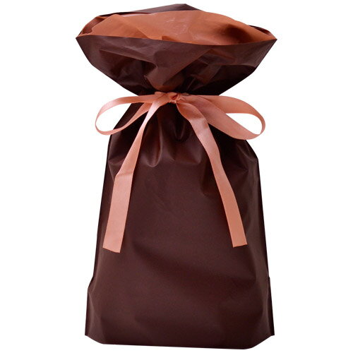 ラッピングバッグ 50-4361 巾着袋ブラウン（小）（ヘッダー付き袋入り）