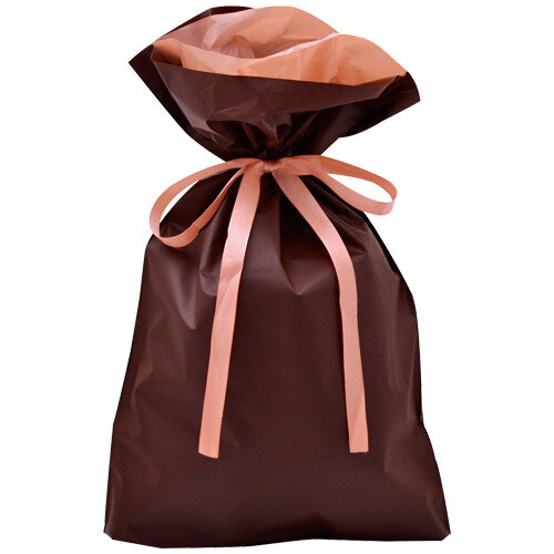 ラッピングバッグ 50-4461 巾着袋ブラウン(中)(ヘッダー付き袋入り)