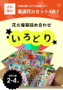 ☆あす楽対象☆【花火詰め合わせ・送料無料】 厳選花火セット4点！花火福箱詰め合わせ いろどり 内容指定不可　【花火 BBQ バーベキュー キャンプ 安い 大量 激安 格安 手持ち 噴出 福袋 子ども 大人数】