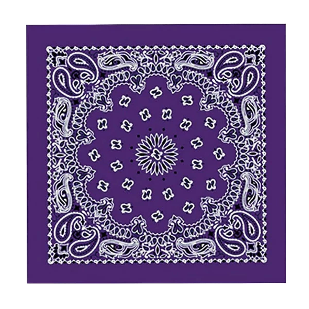 日本未発売!米国直輸入! ホットレザー [Classic Paisley Bandana] クラシック ペーズリー バンダナ! 全10色! ヘッドラップやスカーフに! ヘルメットインナー インナーキャップ 海賊巻 正方形 バイクに! お弁当包み ネッカチーフ コットン バイカー