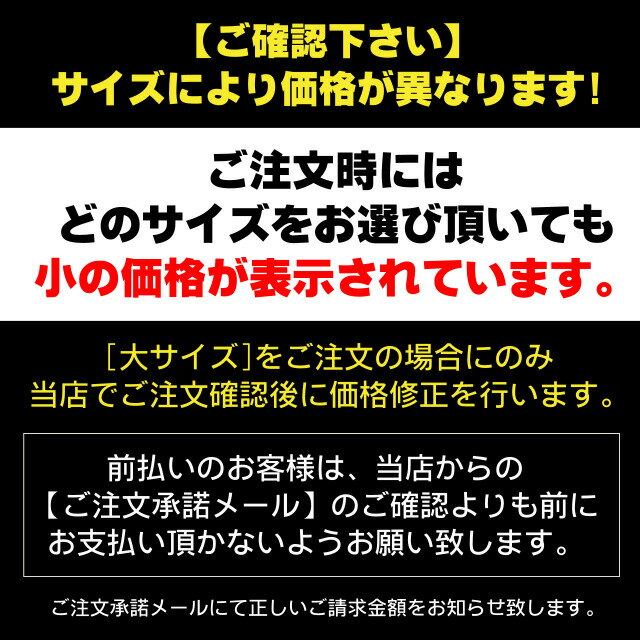 日本未発売! セール価格! ホットレザー 選べ...の紹介画像2