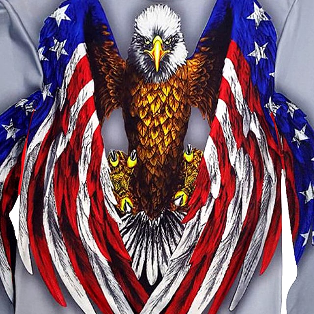 【送料無料!】日本未発売! [Eagle Wing Flag Print Pullover Sweatshirts] イーグル・ウィング・フラッグ・プリント・プルオーバー・スウェット・トレーナー! グレー 鷲 星条旗 米国 メンズ バイカー バイクに! アメカジ ジャージ バックプリント アメリカン 大きいサイズ