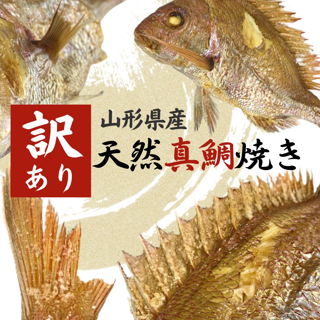 【訳あり 天然真鯛焼き 】食品 魚 山形県産 鯛の塩焼き 焼き鯛 尾頭付き 鯛めし お得 お取り寄せ 焼き魚 アウトレット