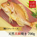 焼き鯛 700g【鯛だけシリーズ】お食い初め 山形県産 祝い鯛 天然 真鯛 焼鯛 塩焼き マダイ 鮮魚 海鮮 尾頭付き まとめ買い