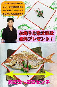 祝い鯛・はまぐり