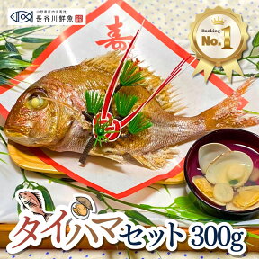 お食い初め 鯛 はまぐり セット 300g 敷紙 鯛飾り 祝い箸 天然真鯛 鯛の塩焼き 尾頭付き 焼き鯛 お祝い 料理 蛤 祝鯛 冷蔵 冷凍 山形県産 鮮魚 100日祝い はまぐり お吸い物