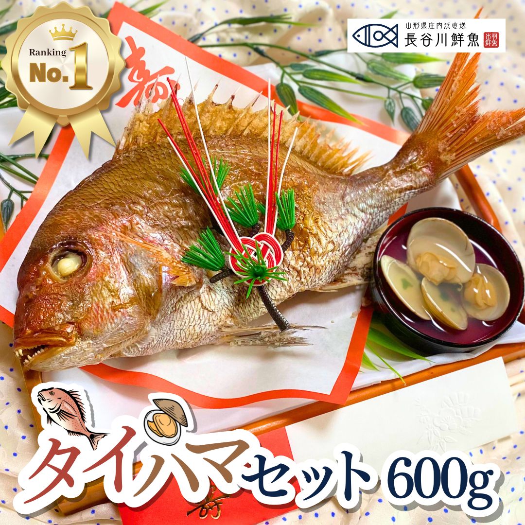 ＼new／お食い初め 鯛『タイハマセット』鯛600g(3～4