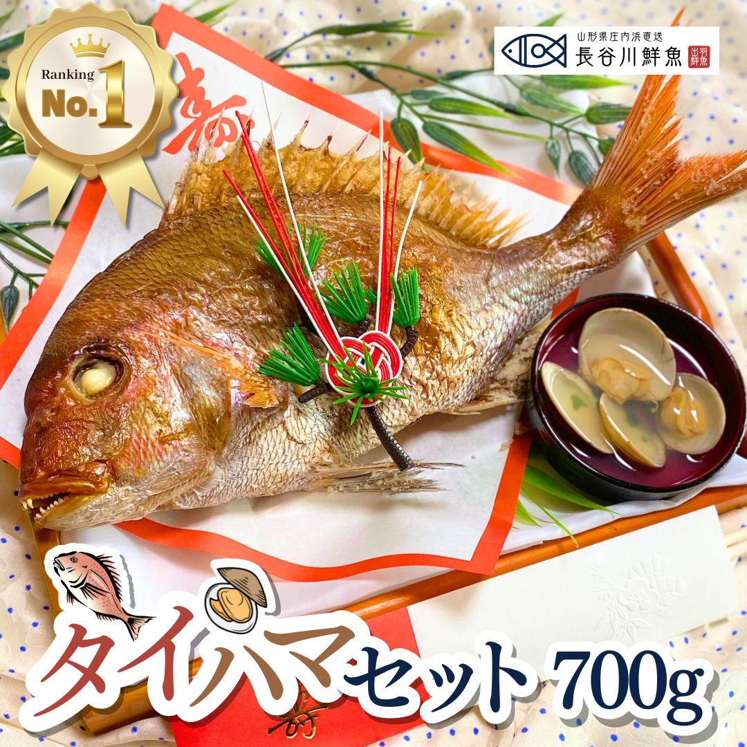 お食い初め 鯛 はまぐり セット 700g 尾頭付き 鯛の塩焼き 敷紙 鯛飾り 祝い箸 天然真鯛 焼き鯛 お祝い 料理 蛤 祝鯛 冷蔵 冷凍 山形県産 鮮魚 100日祝い はまぐり お吸い物