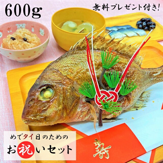 【お祝いセット 600g】 お食い初め セット 料理 鯛 (