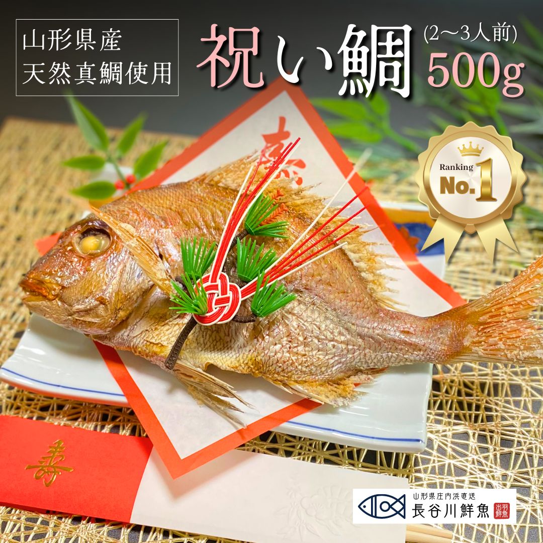 お食い初め 鯛 500g 山形県産 天然 真