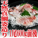 豪華 山形県産 天然真鯛 姿造り600g前後 刺身 盛り合わせ セット 生食用 マダイ - 山形 鮮魚と特産品の店長谷川