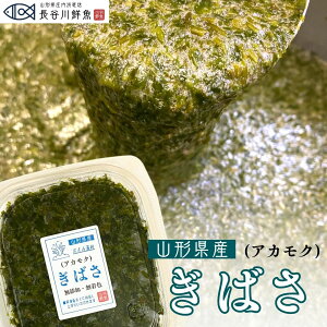 アカモク ぎばさ 山形県 飛島産 小分け 冷凍 送料無料 ナガモ あかもく ギバサ