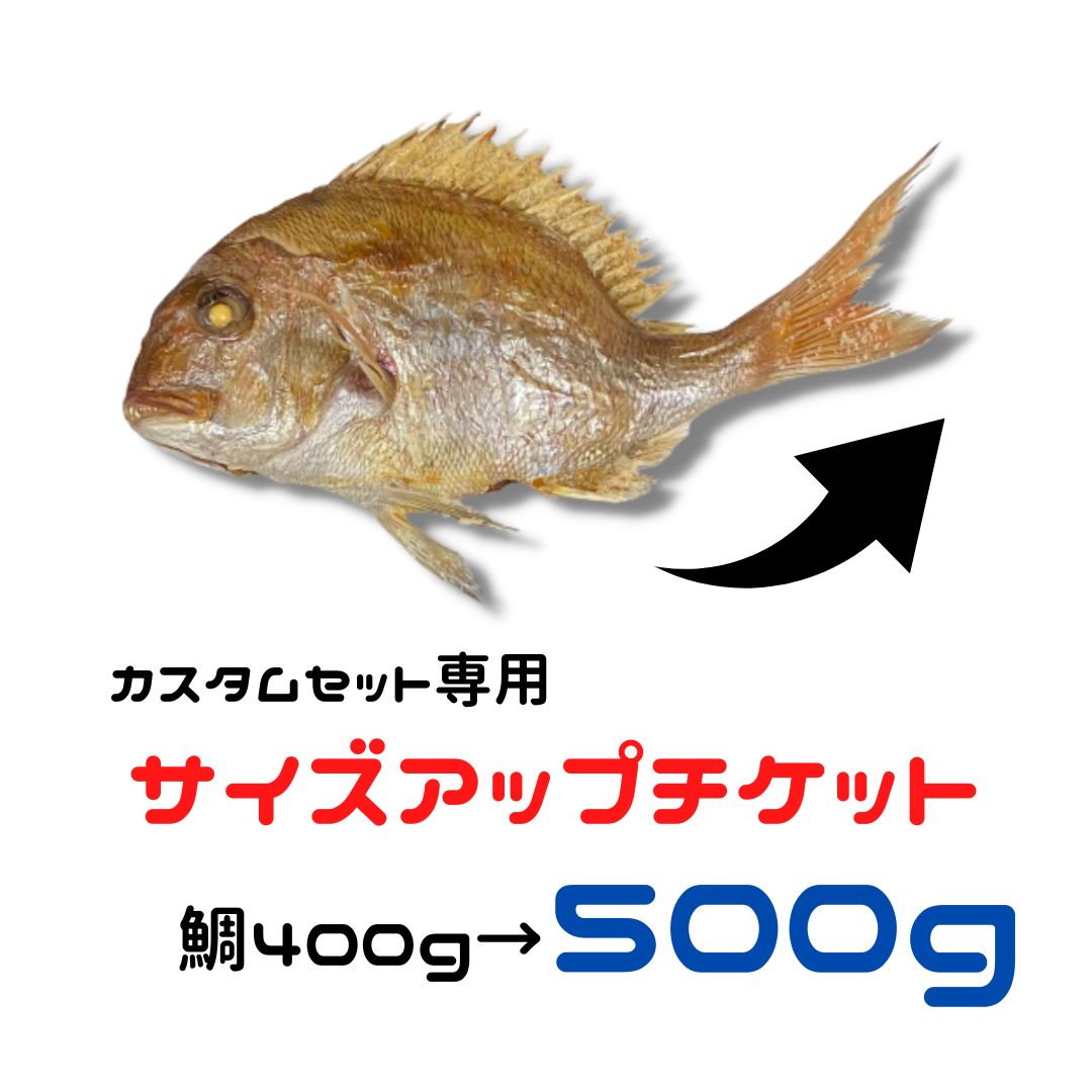 サイズアップチケット【鯛400g→500g】カスタムセット専用オプション 500gにサイズアップ