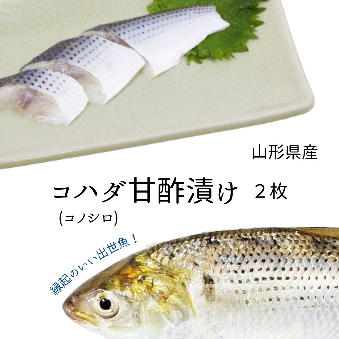 楽天山形　鮮魚と特産品の店長谷川コハダ（コノシロ） 甘酢漬け こはだ お食い初め お祝い 料理