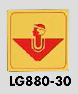 �᡼���زġ������������ץ졼�ȡ�������80��80��E