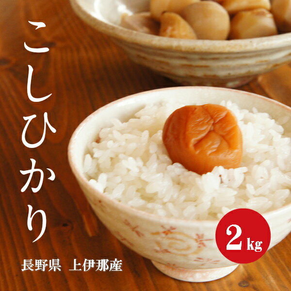 長野県産 こしひかり 上伊那産 1等米 1年産 白米 2kg 【新米】【送料無料】...