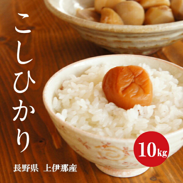 長野県産 こしひかり 上伊那産 1等米 30年産 白米 10kg 【送料無料】