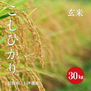 令和5年産 長野県 上伊那産 こしひかり 1等米 玄米 30kg 1