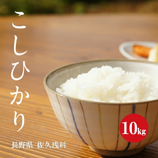 令和5年産 長野県 浅科産 こしひかり 1等米 白米 5kg×2袋