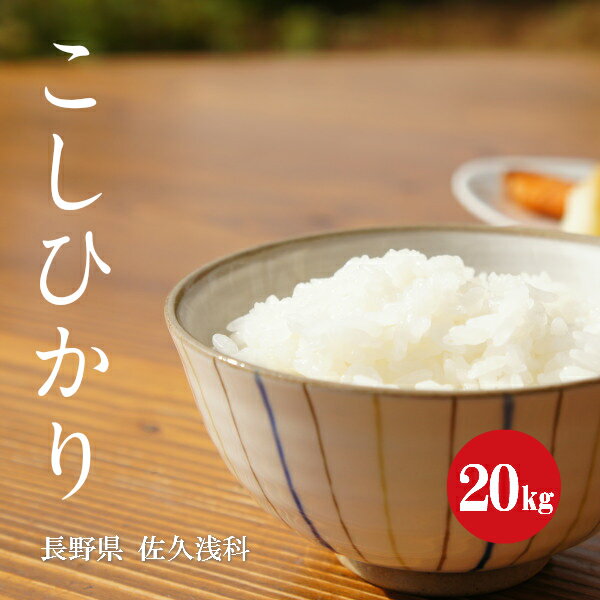 令和5年産 長野県 浅科産 こしひかり 1等米 白米 20kg