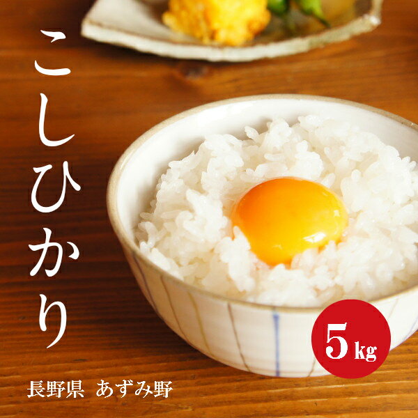 長野県産 こしひかり 安曇野 1等米 1年産 白米 5kg 【新米】【送料無料】【あ...