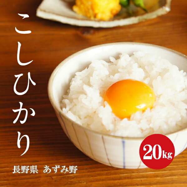 長野県産 こしひかり 安曇野 1等米 1年産 白米 20kg 【新米】【送料無料】【...